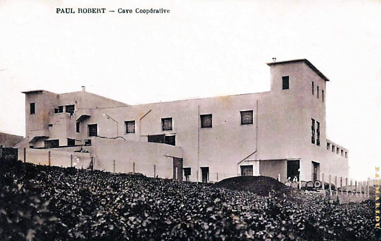 Paul Robert - Cave Cooperative.jpg
